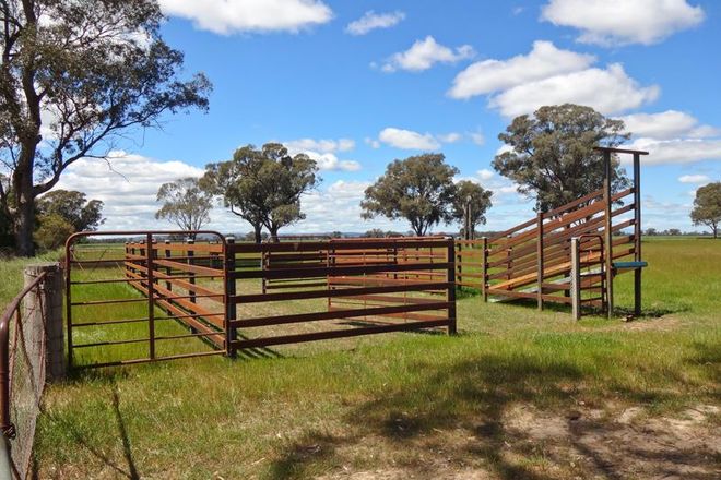 Picture of . Boundary Road, BOORHAMAN EAST VIC 3678