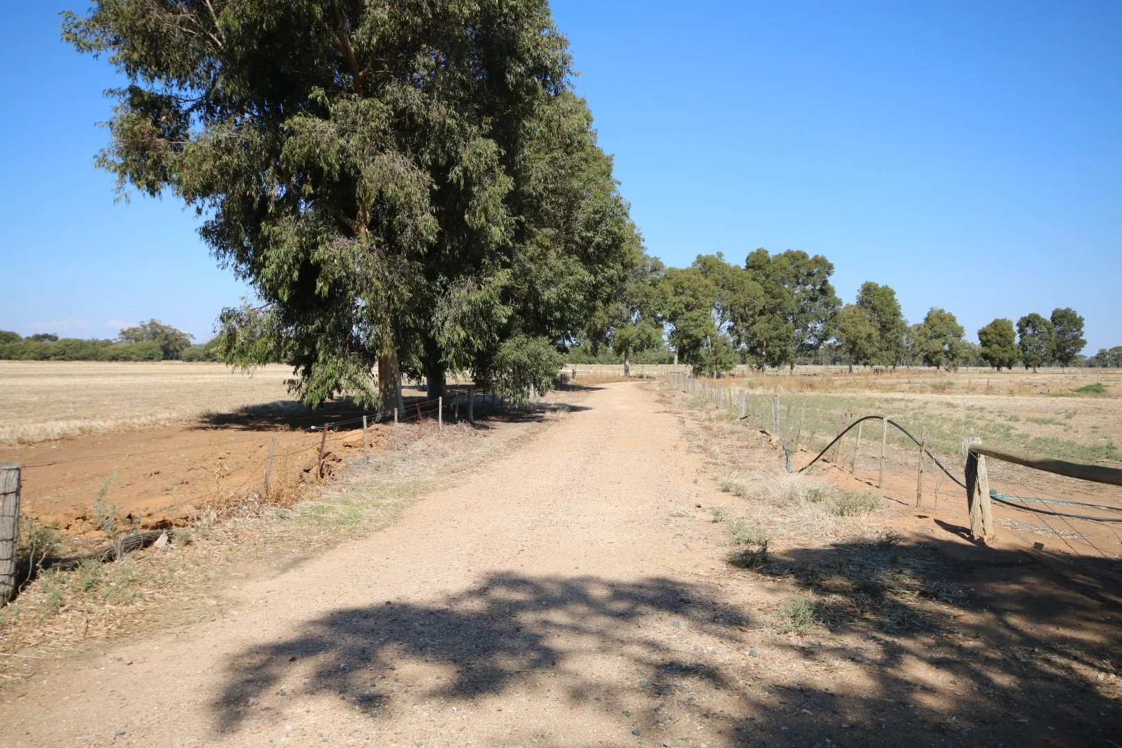 Image 19