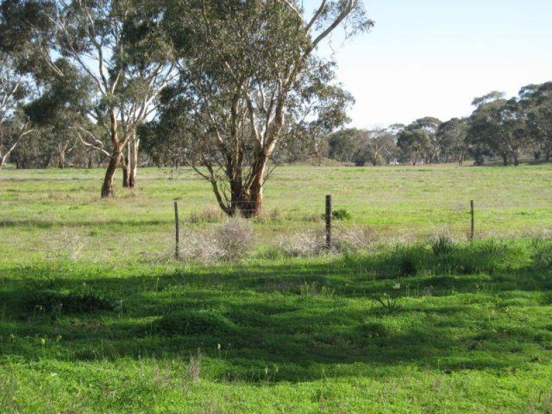 Lot 7 Weir Drive, BORDERTOWN SA 5268, Image 1