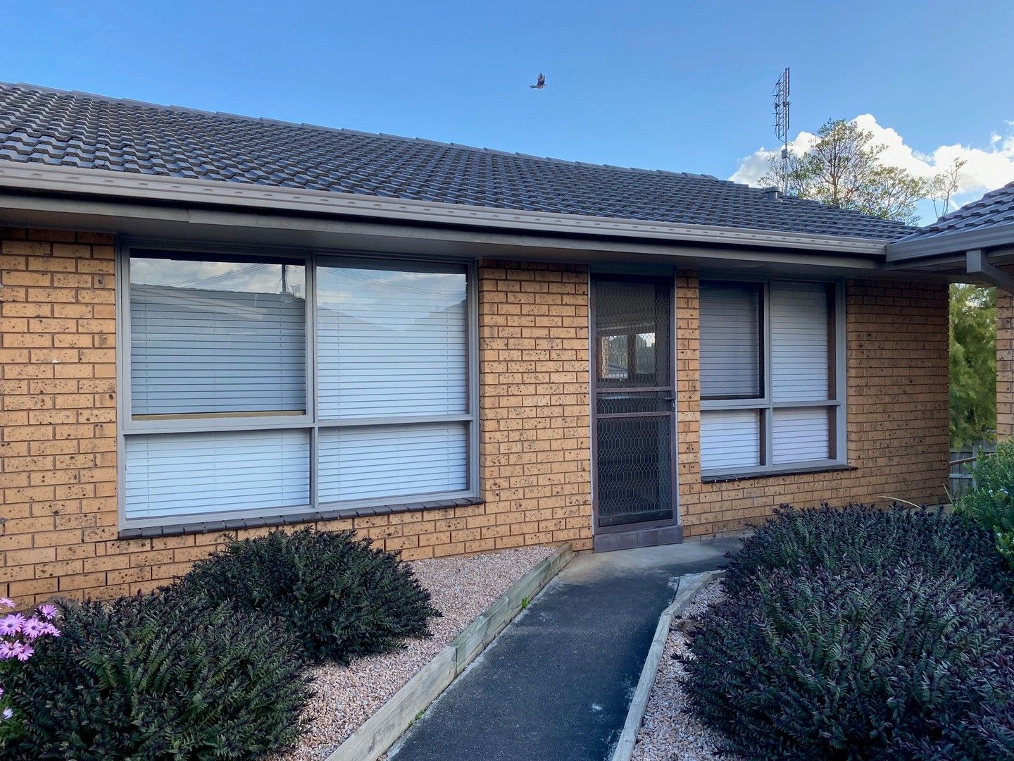 2 bedrooms Apartment / Unit / Flat in 3/11 Archibald Crescent WARRAGUL VIC, 3820