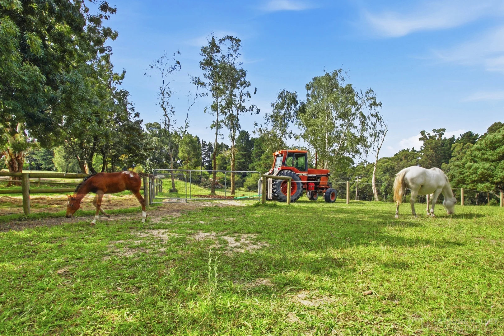 Additional image 18 of 5 Cypress Court, Tyers VIC 3844