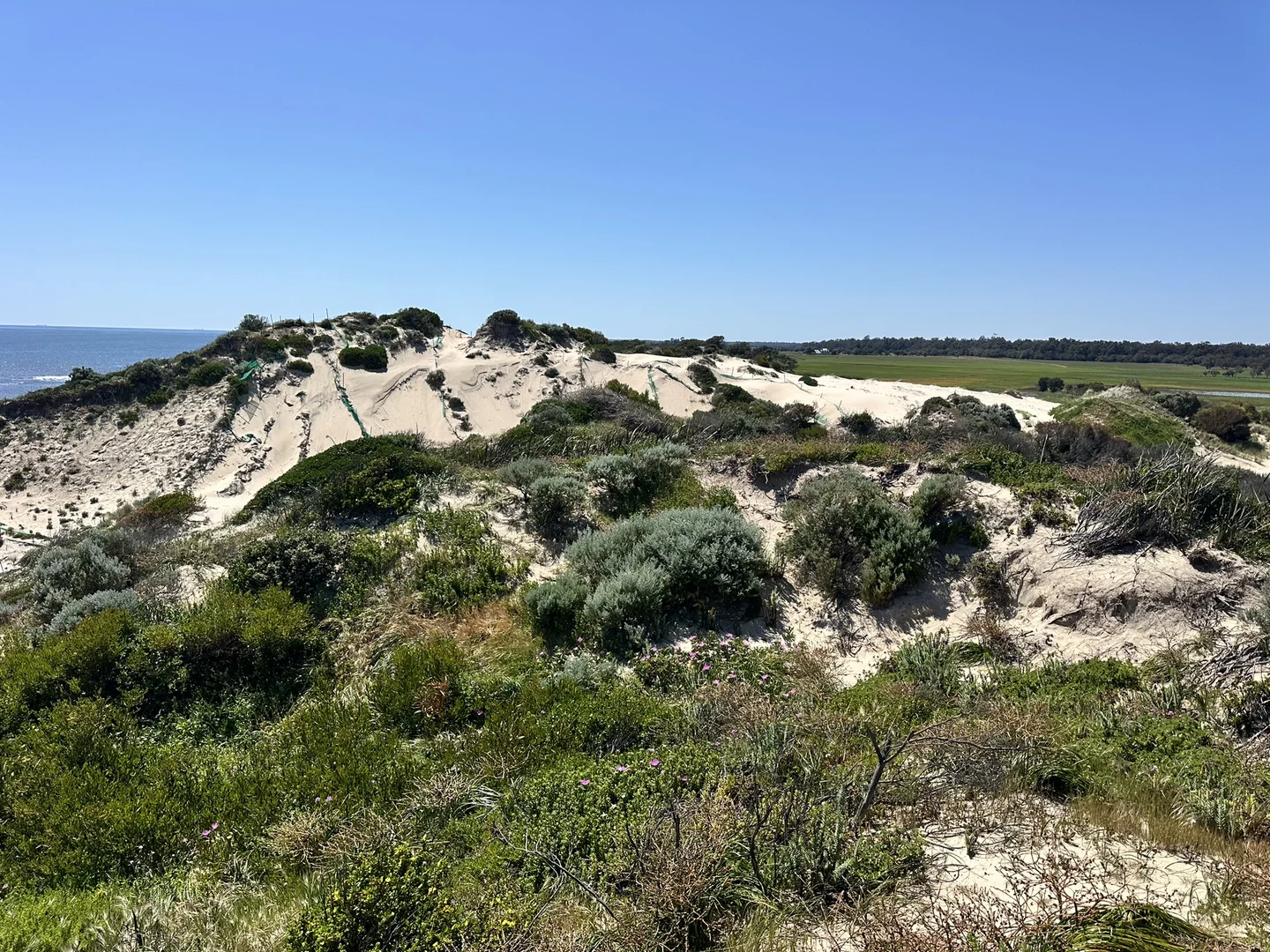 Image 21