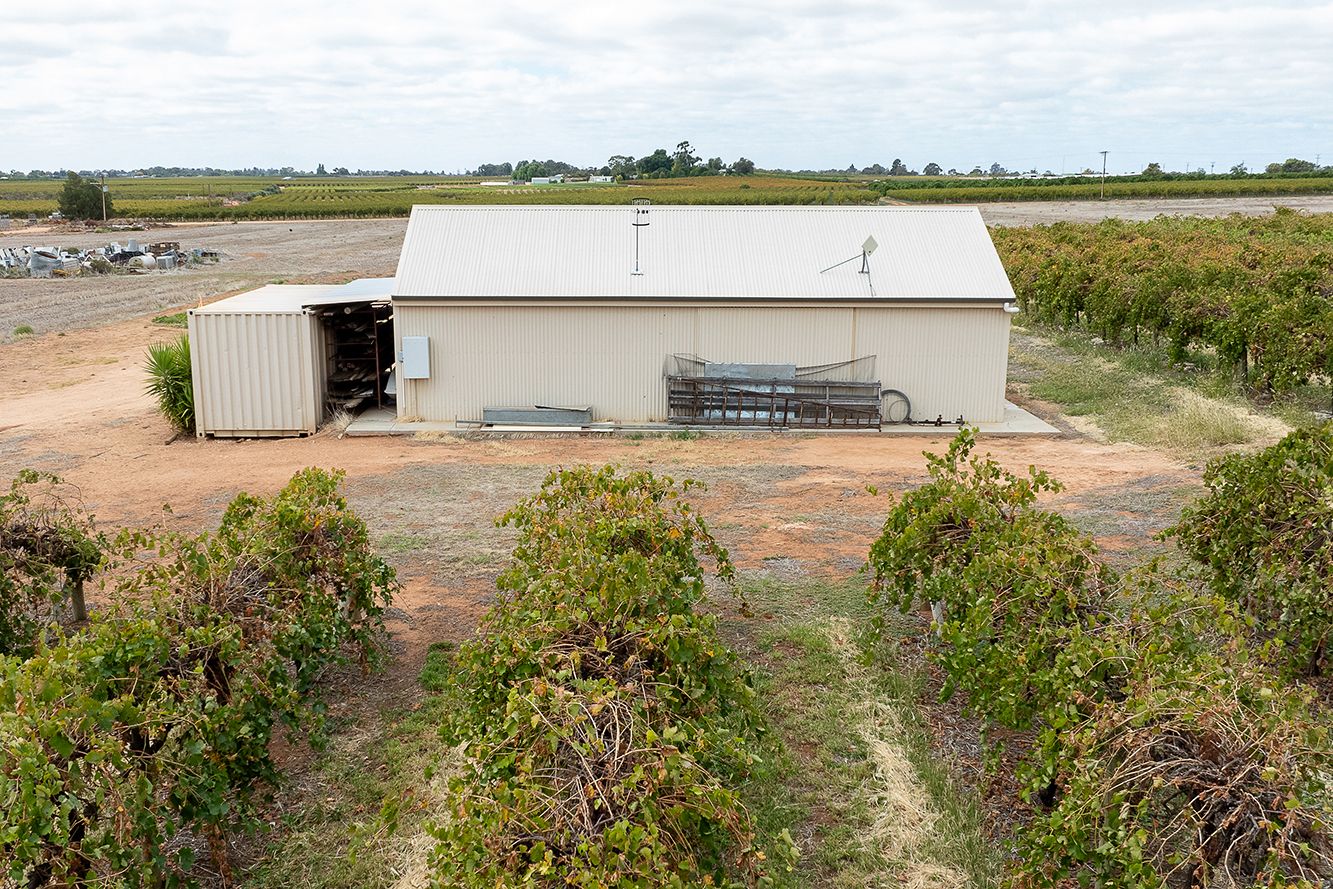 49 Dorsch Avenue, Loxton SA 5333 Vacant Land for Sale 295,000