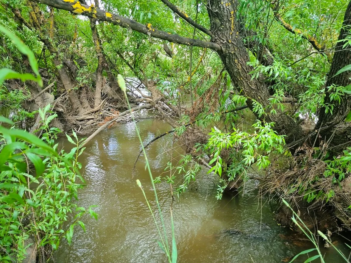 Image 26