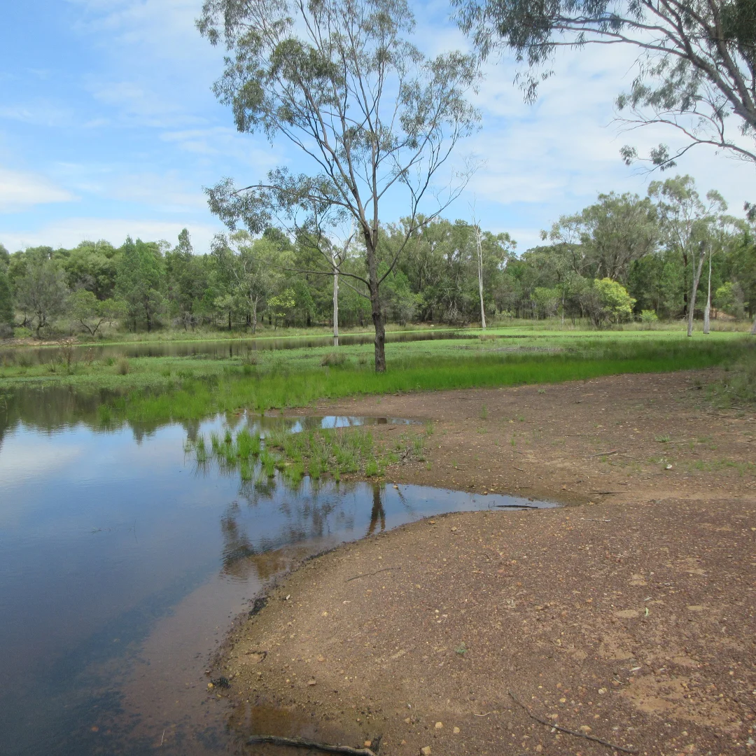 Additional image 15 of Tara QLD 4421