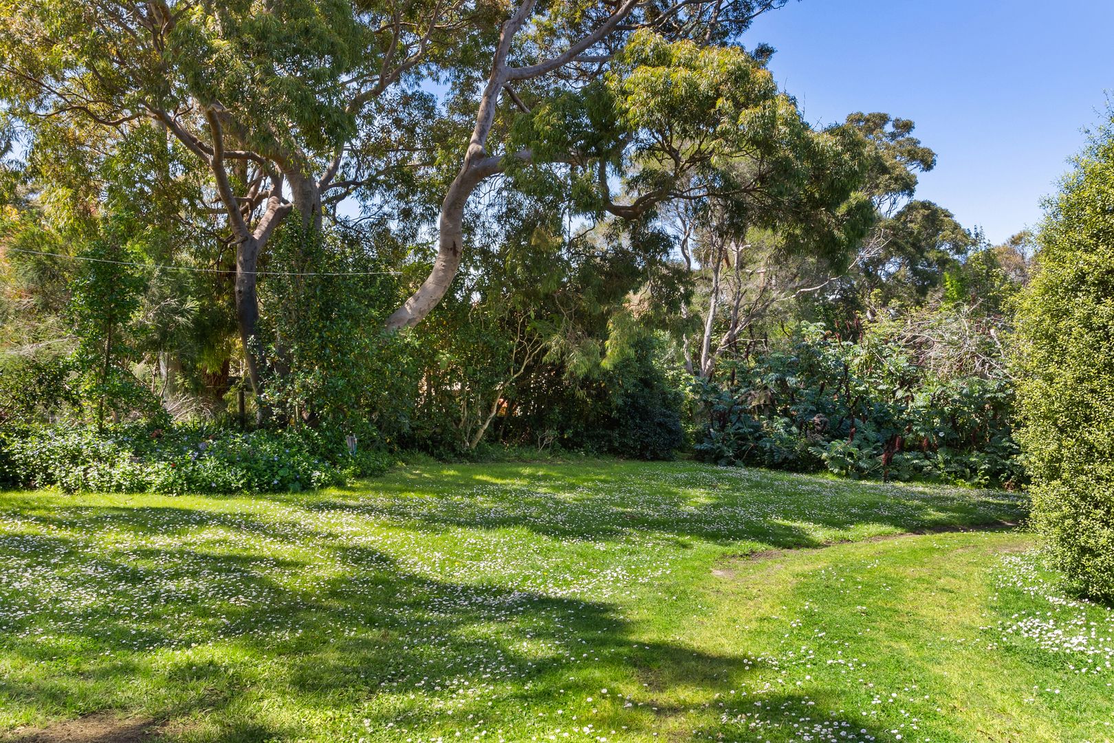 22 Hall Street, Flinders VIC 3929, Image 1