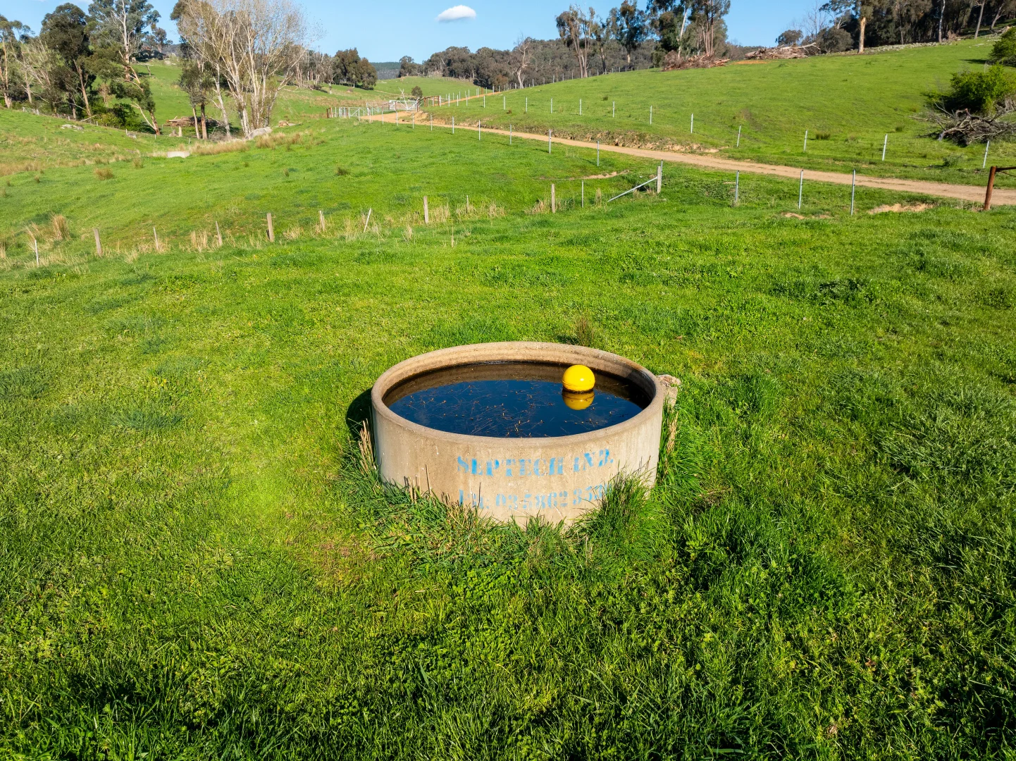 Image 15