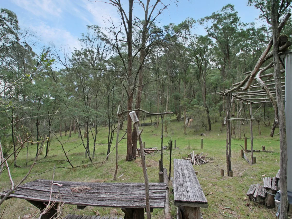 Additional image 11 of 135 Kangaroo Track, Omeo VIC 3898