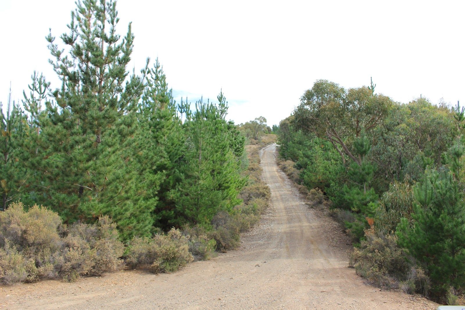 Fitzgeralds Valley NSW 2795, Image 2