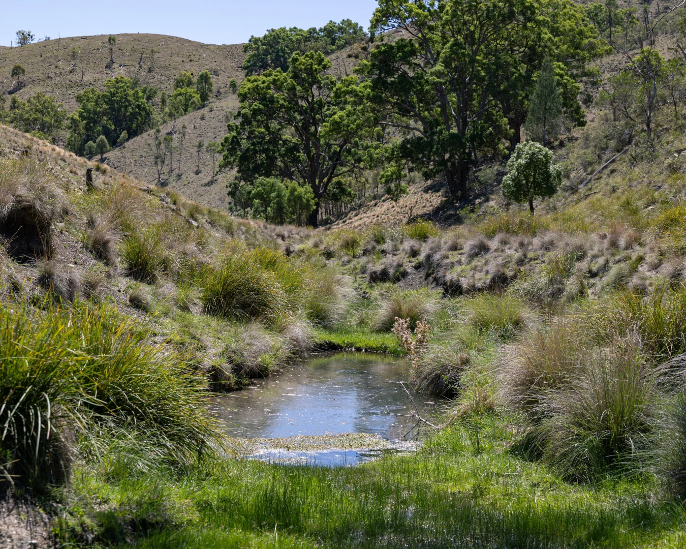 Additional image 10 of 305 Yarrabin Road, Mudgee NSW 2850