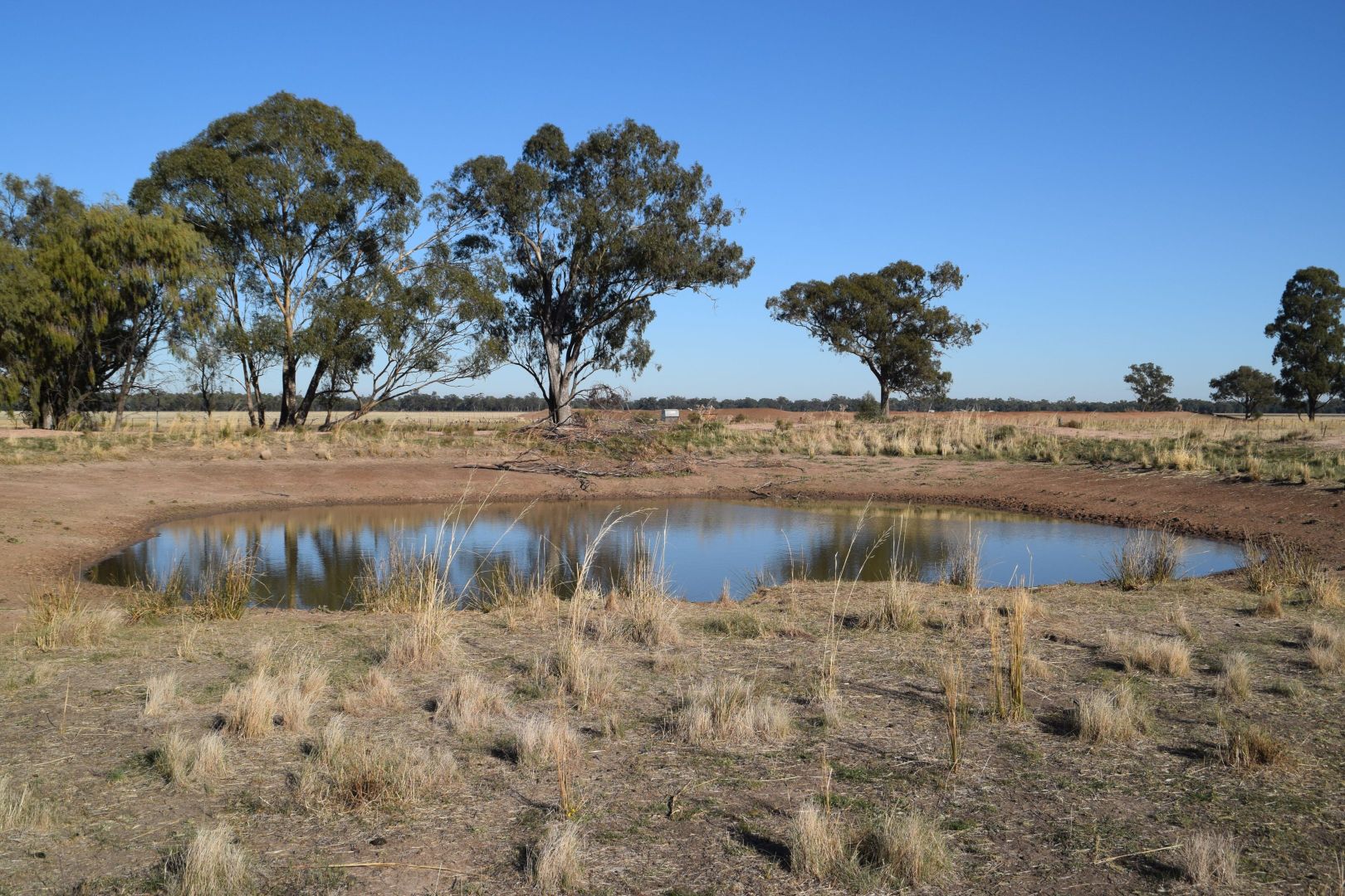 'Gilway' Balladoran Road, Gilgandra NSW 2827, Image 1