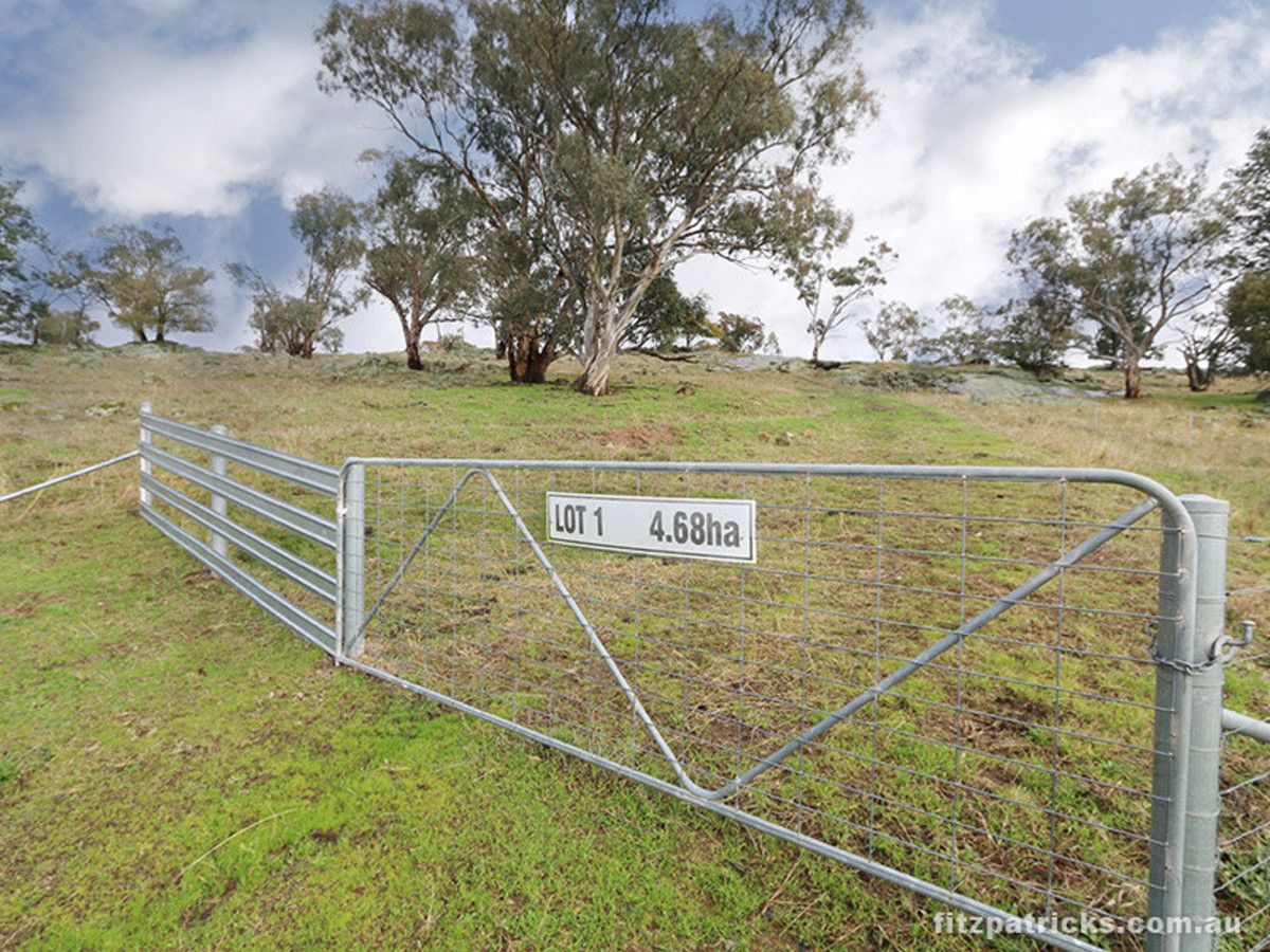 Lot 1 Holbrook Road, Maxwell NSW 2650, Image 0