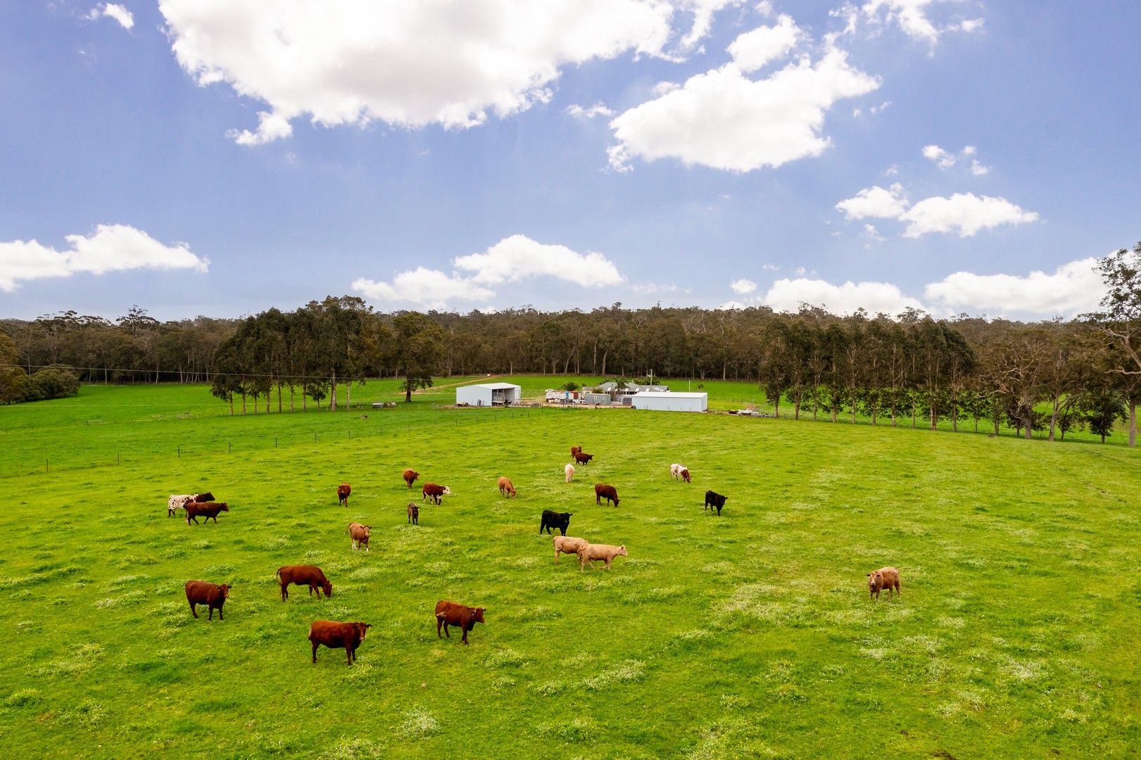 686/742 Davis Road, Rosa Glen WA 6285 House for Sale Domain