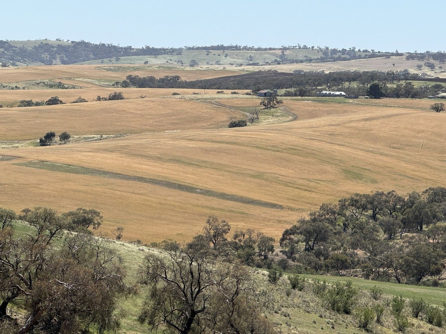 Rural in 663 Marola Road, BRINKWORTH SA, 5464