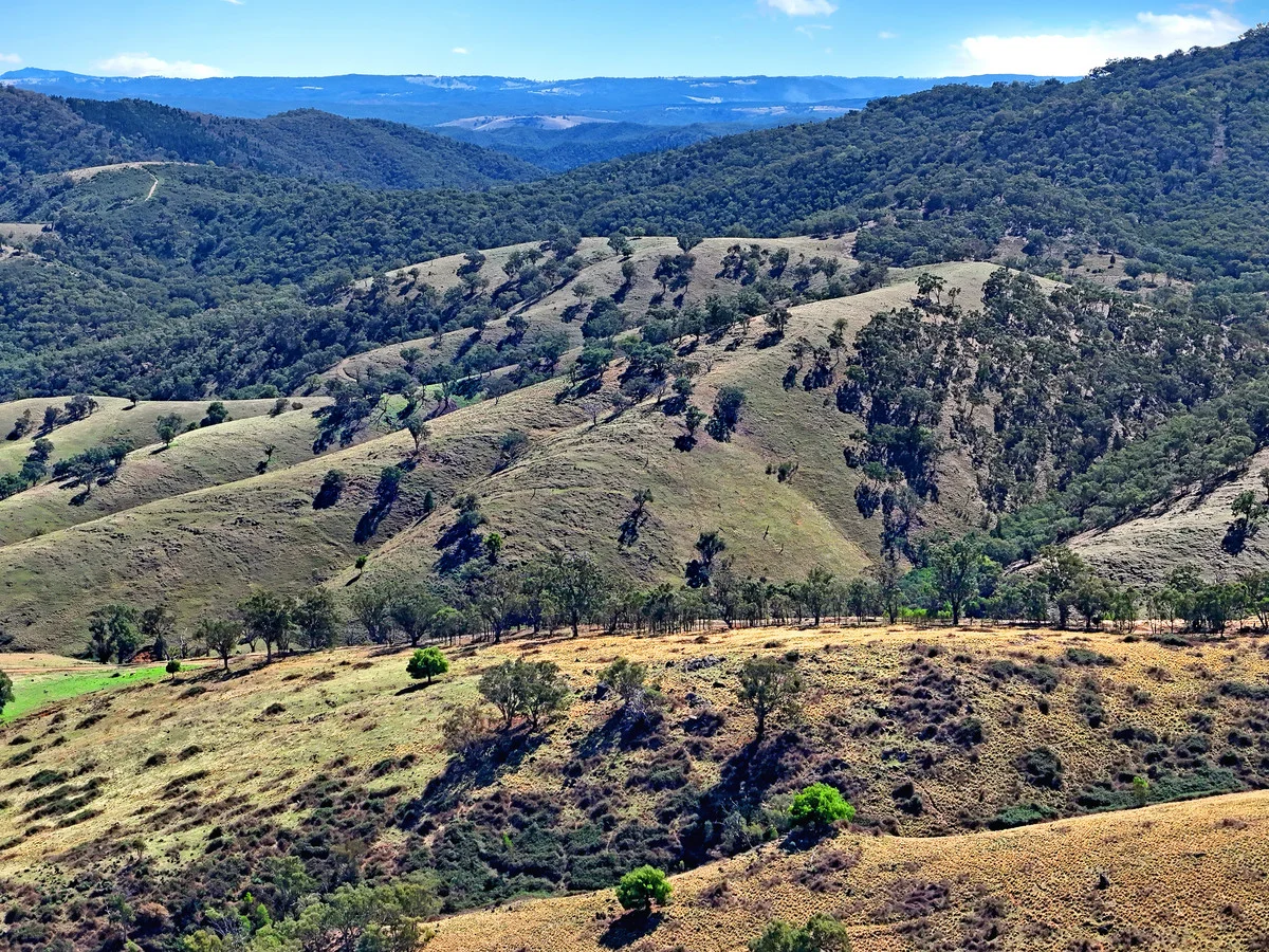 Additional image 12 of 1936 Greenmantle Road, Bigga NSW 2583