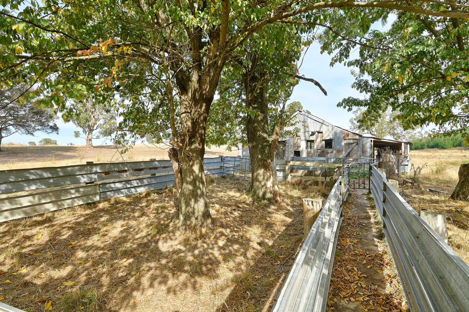 Image 11