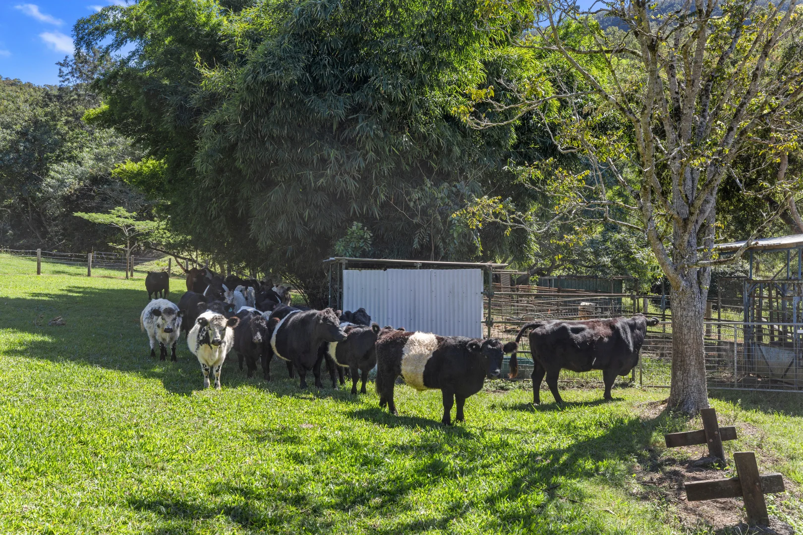 Additional image 25 of 16 Bluff Road, Kenilworth QLD 4574