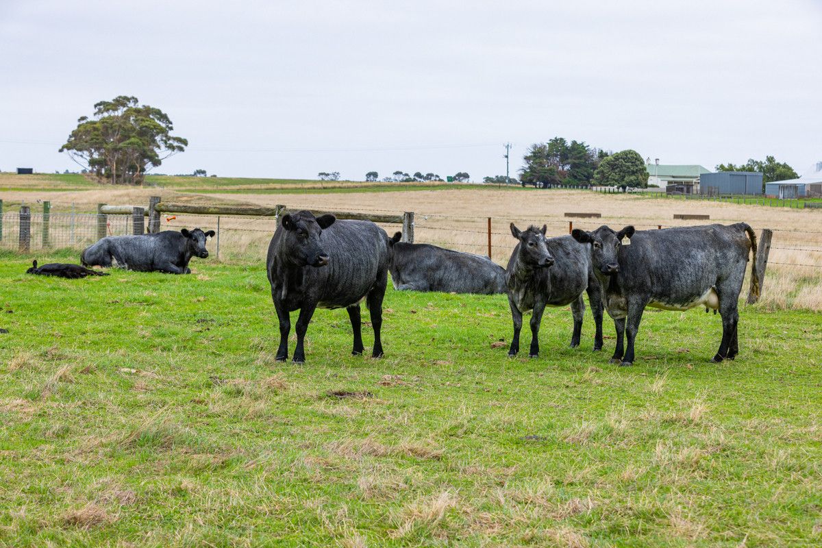 1660 and 1690 Colac-Ballarat Road, Beeac VIC 3251, Image 2