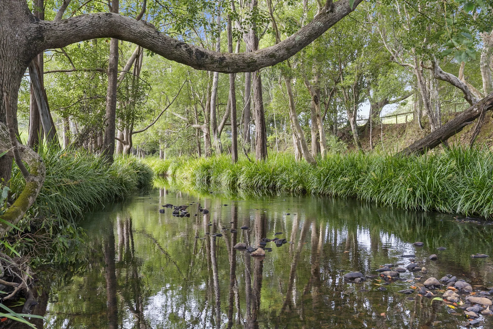 Additional image 36 of 160 Upper Crystal Creek Road, Upper Crystal Creek NSW 2484