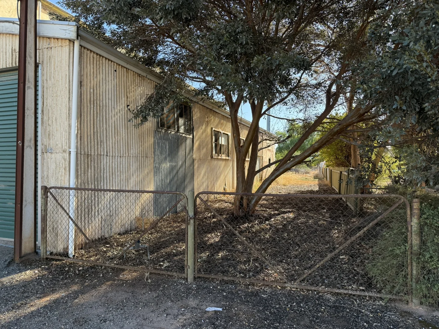 Image 6