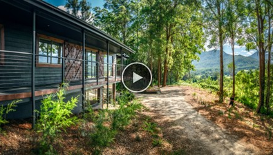 Picture of 309 Roses Road, BELLINGEN NSW 2454