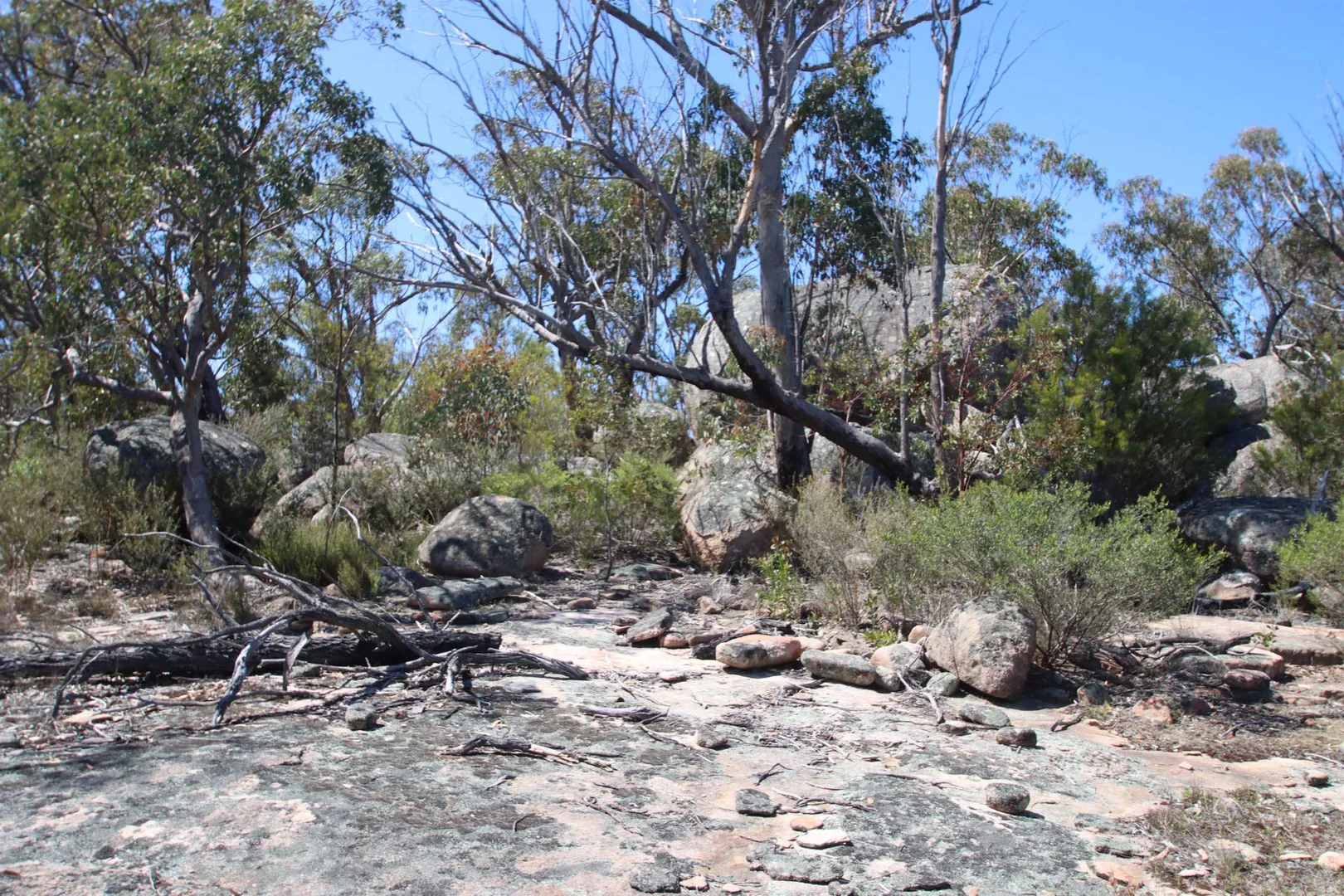 Image 12