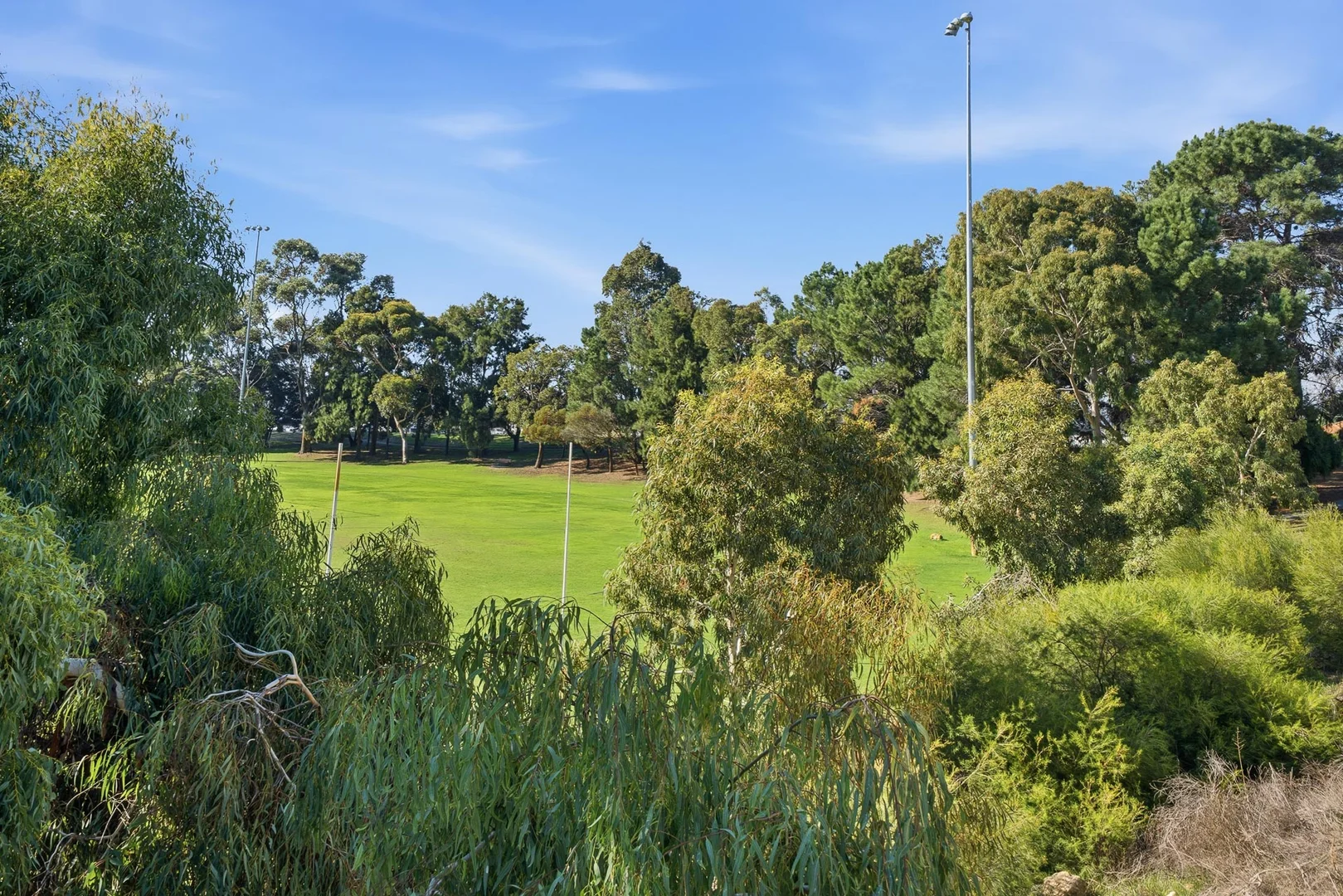 Image 25