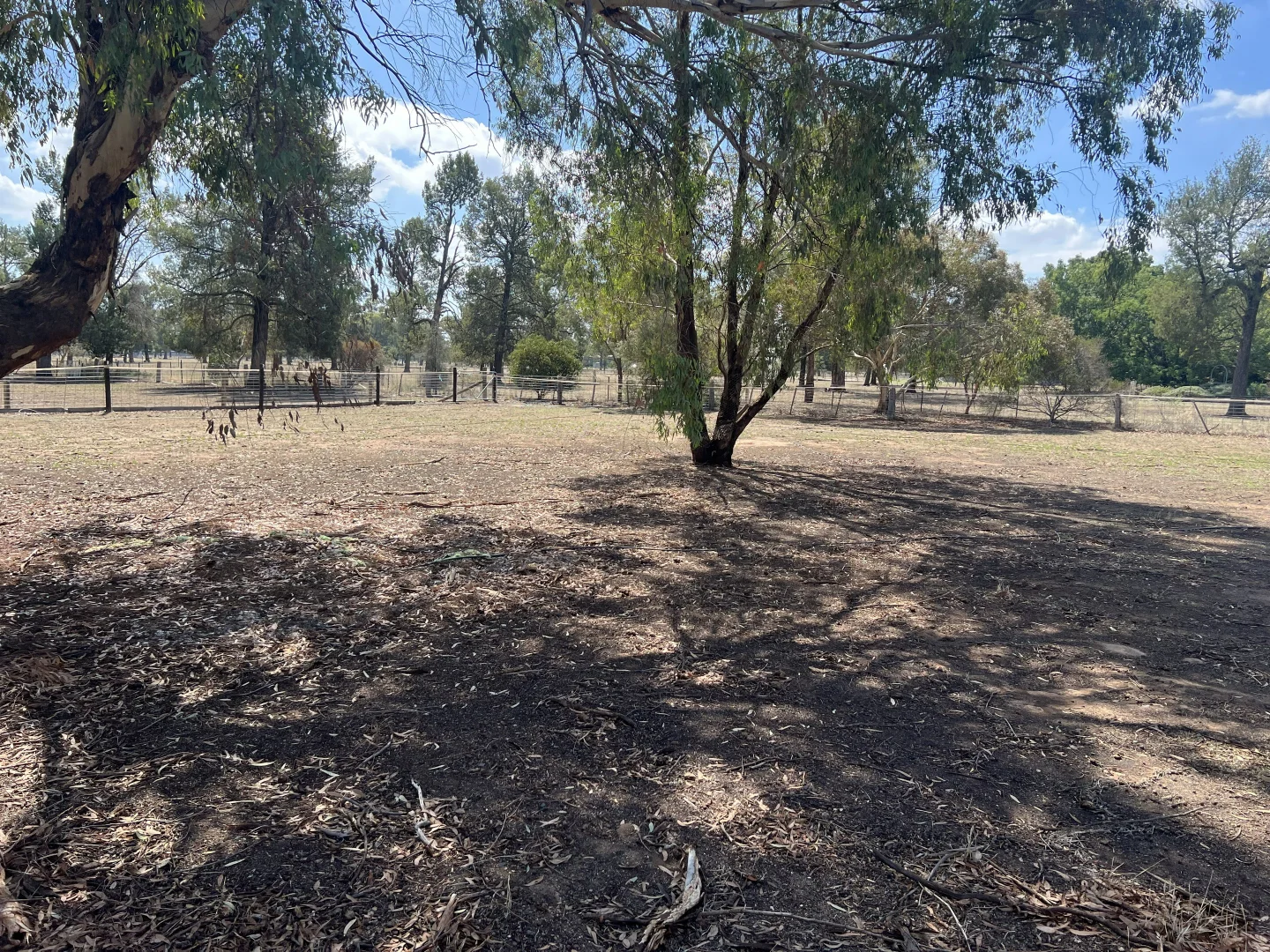 Image 21