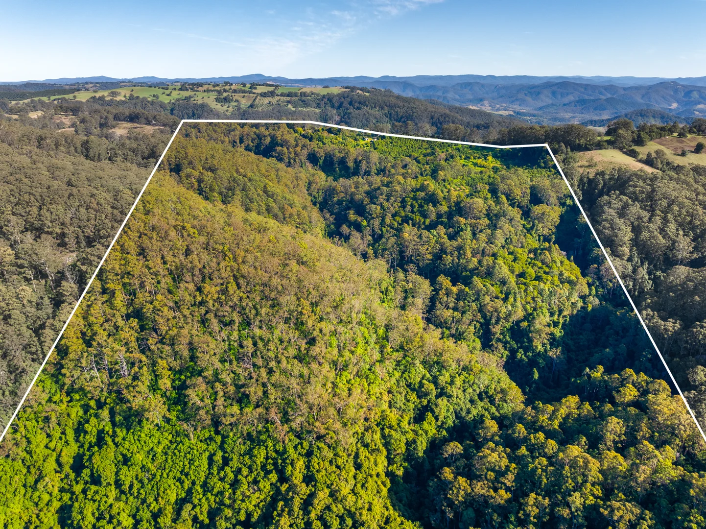 Additional image 18 of 480 Ponsfords Road, Comboyne NSW 2429