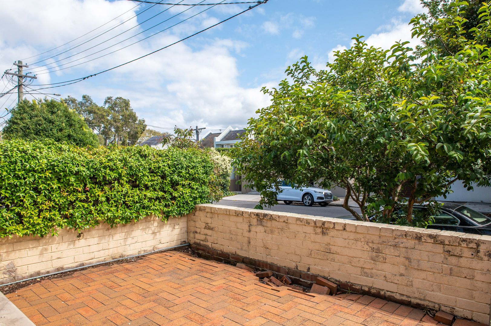 49 View Street, Woollahra NSW 2025, Image 2