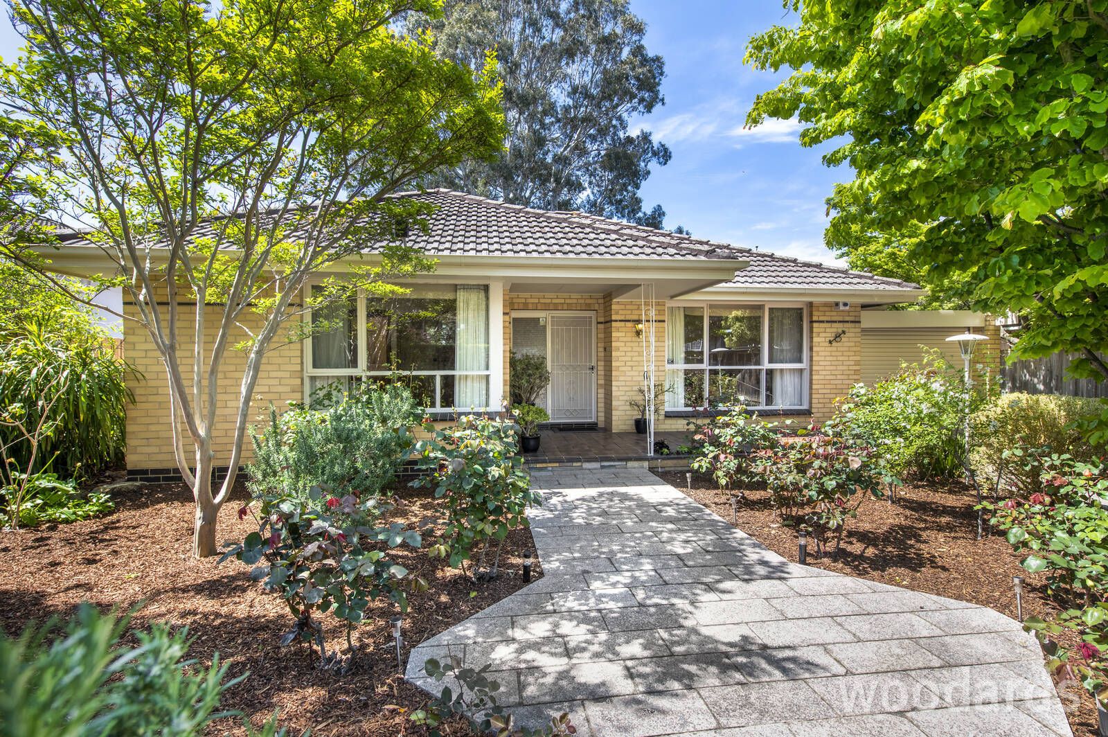 4 bedrooms House in 8 Clota Avenue BOX HILL VIC, 3128
