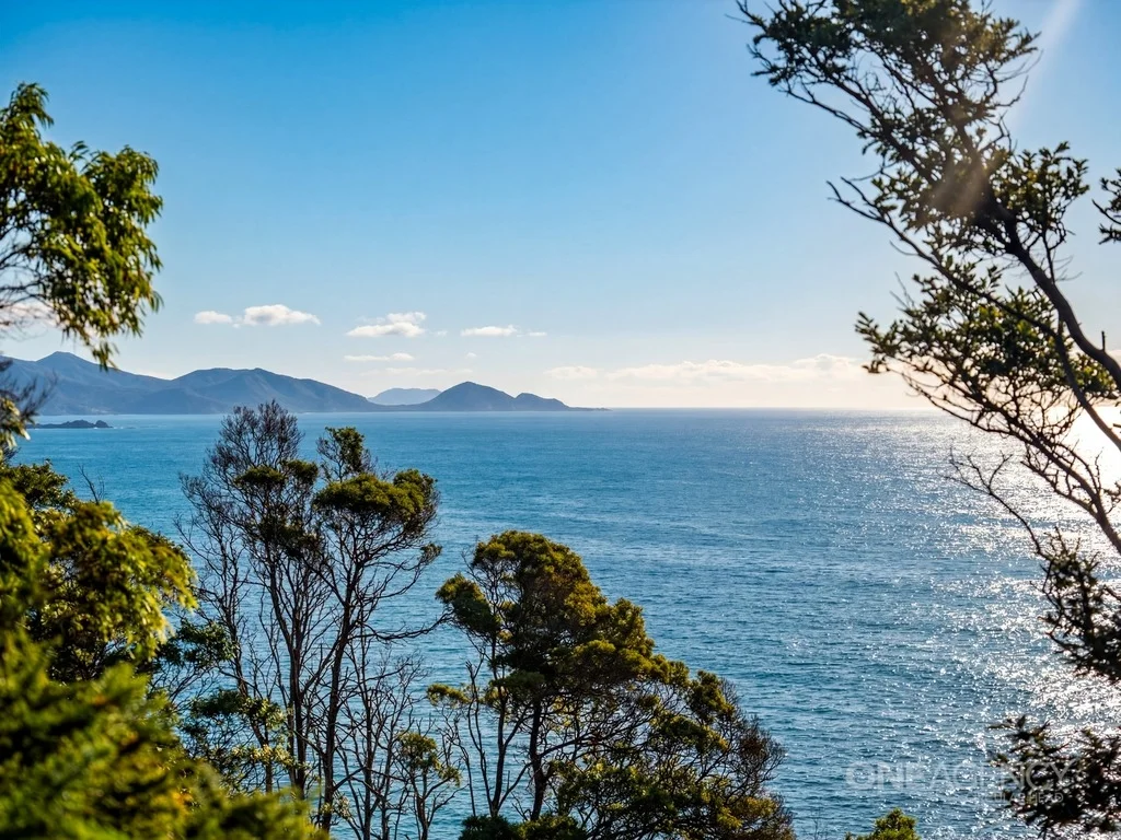 Additional image 9 of 472 Tollymore Road, Table Cape TAS 7325