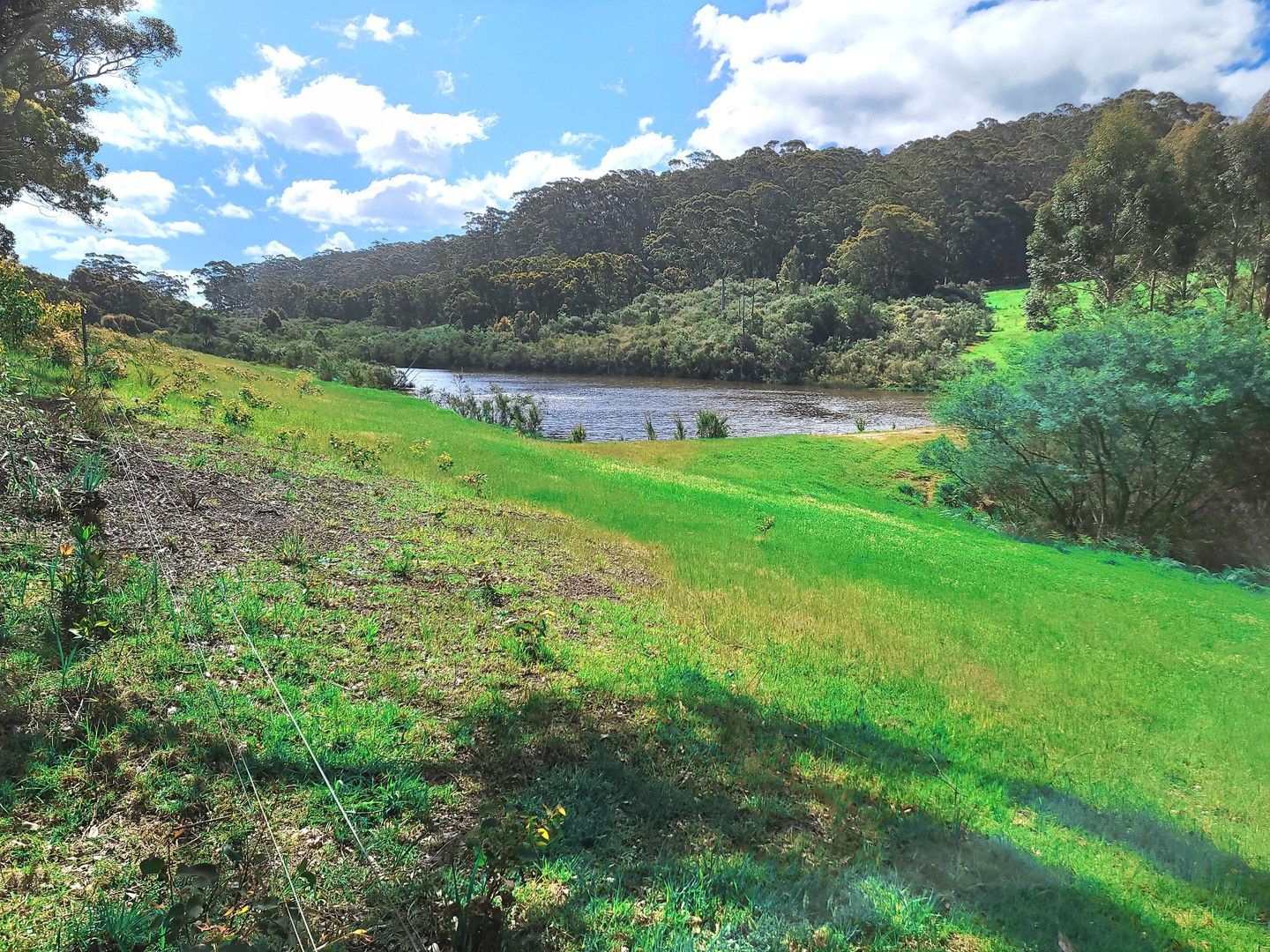 Rural in Dingo Flat Road, TINGLEDALE WA, 6333