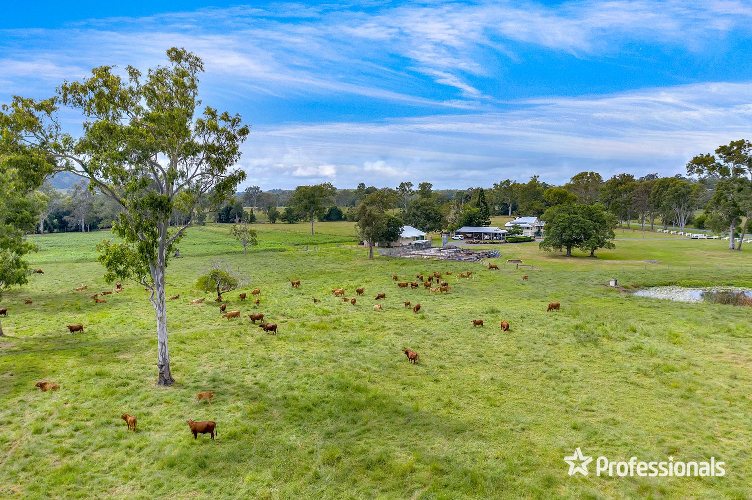 2071 Kin Kin Road, Coondoo QLD 4570, Image 1