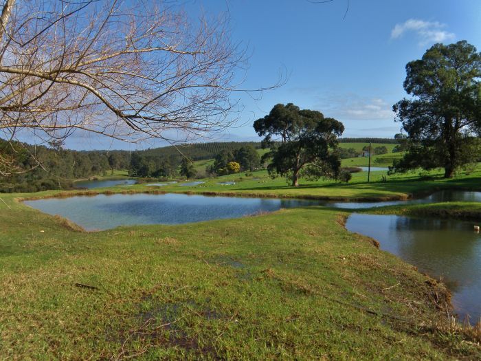 Lot 2 Gold Gully Road, Nannup WA 6275, Image 1