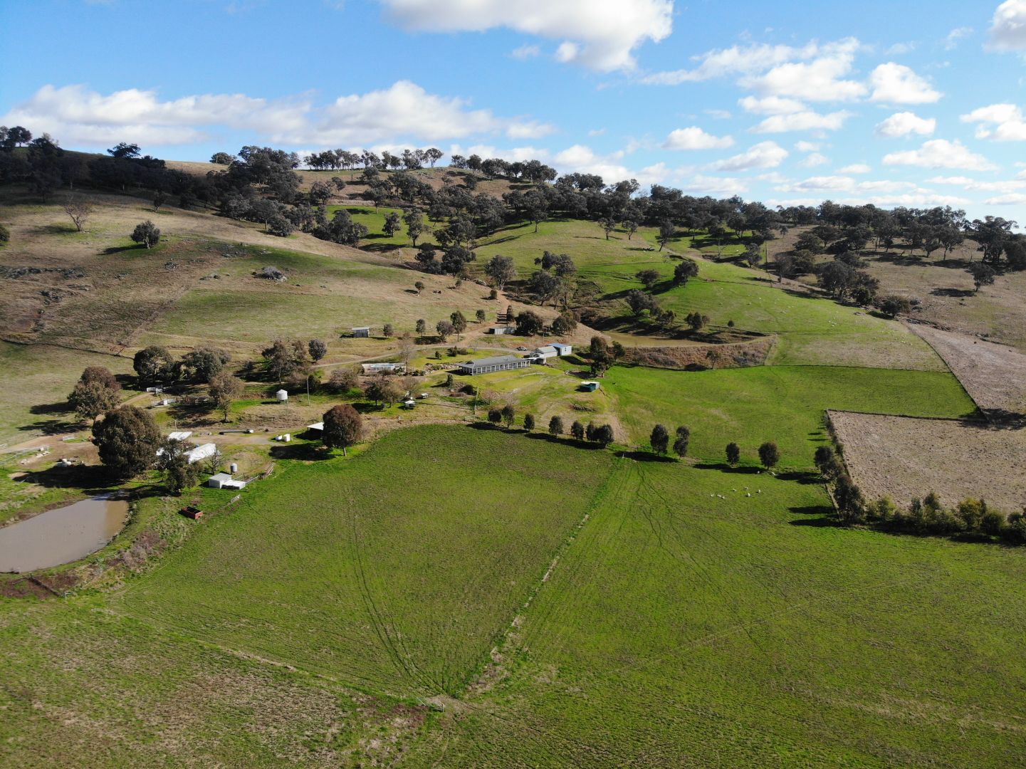 131 Sandy Gully Road "Sunnyside", Adelong NSW 2729, Image 1