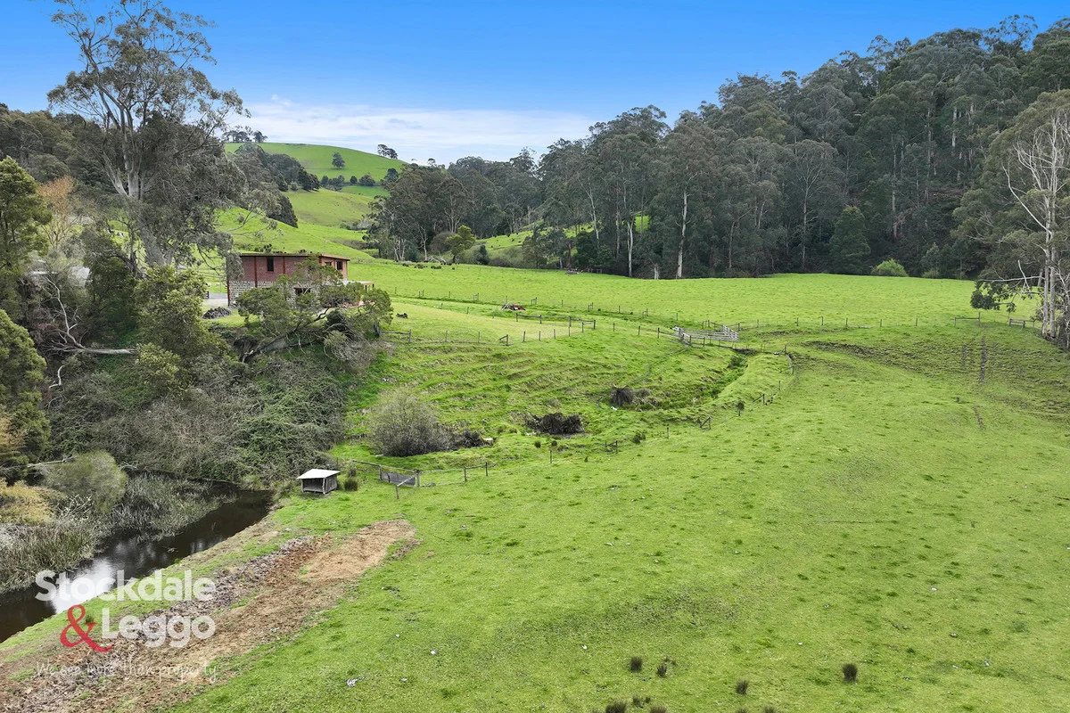 Image 33