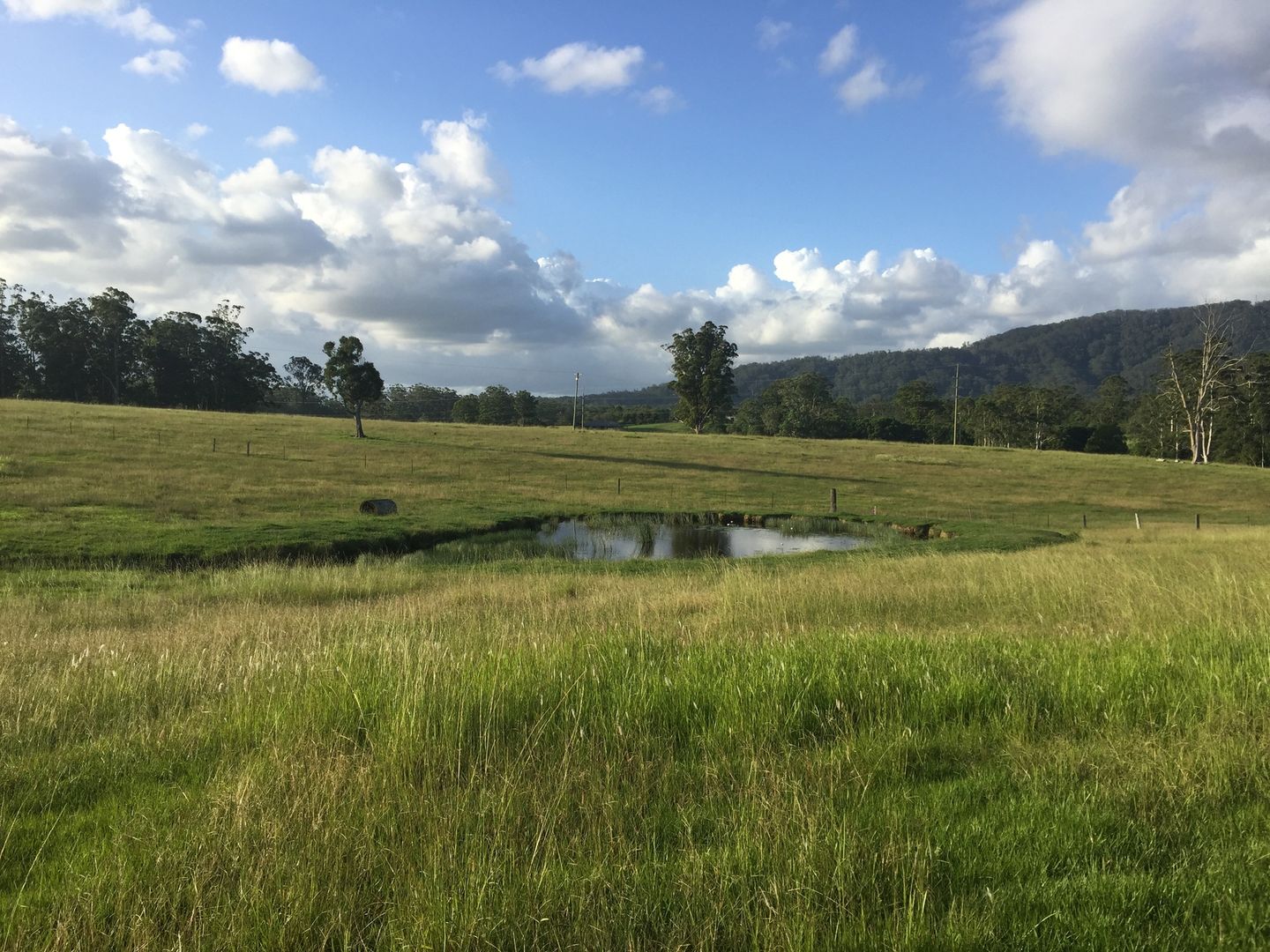 Eungai Creek NSW 2441, Image 2