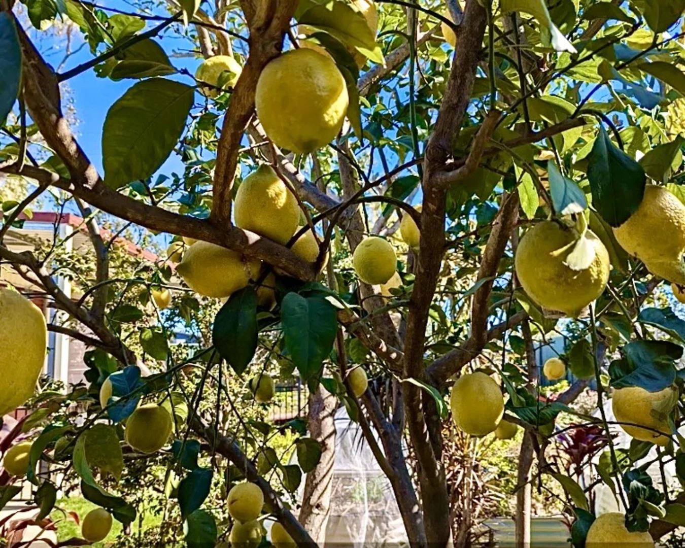 Additional image 21 of 45 UTAH Drive, Moranbah QLD 4744