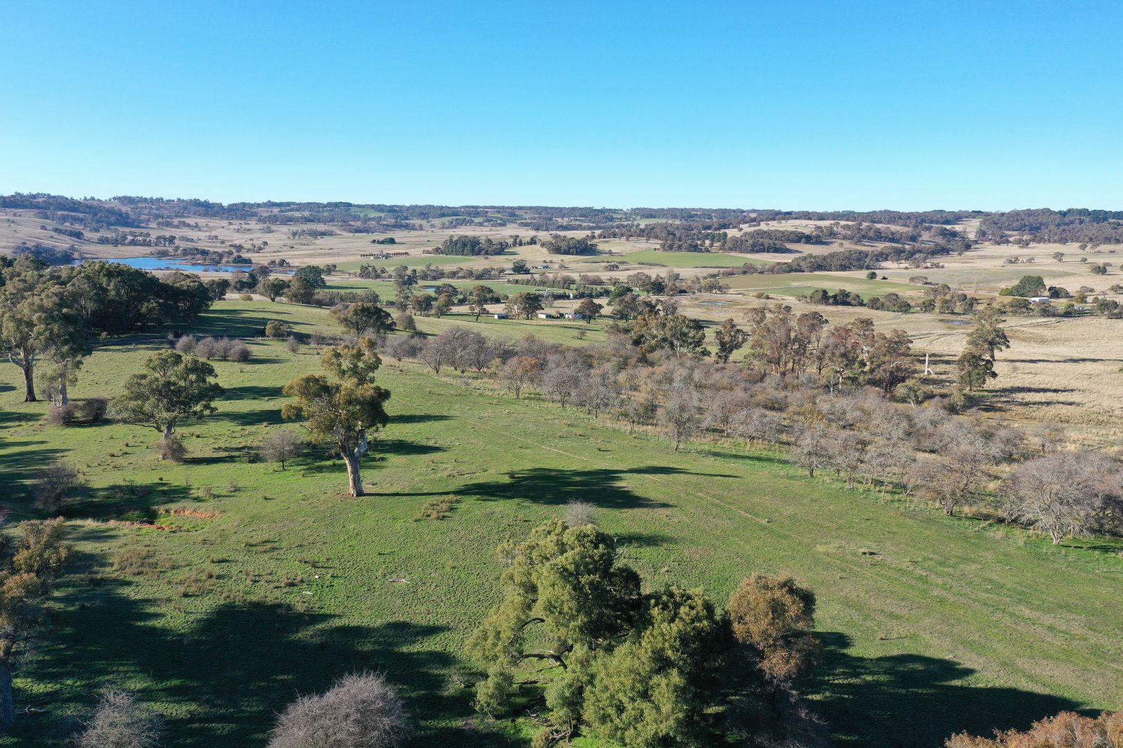 163 Redground Road, Crookwell NSW 2583, Image 2