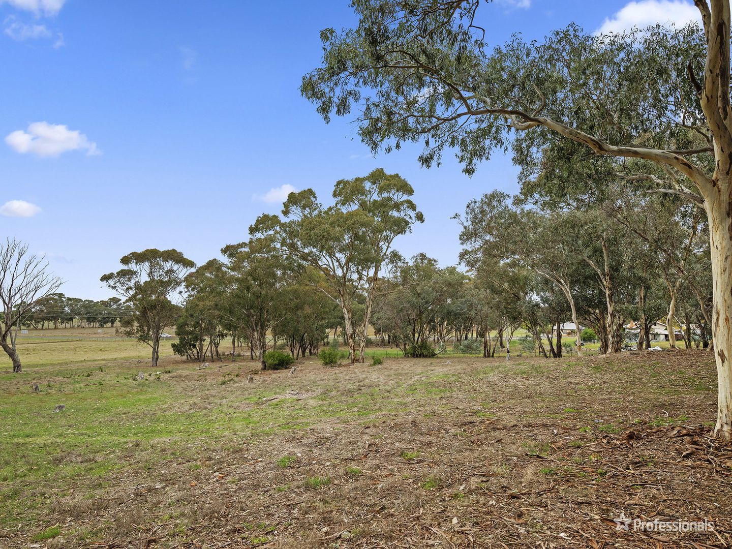 Lot 1/26 Chaplins Road, Carisbrook VIC 3464, Image 2