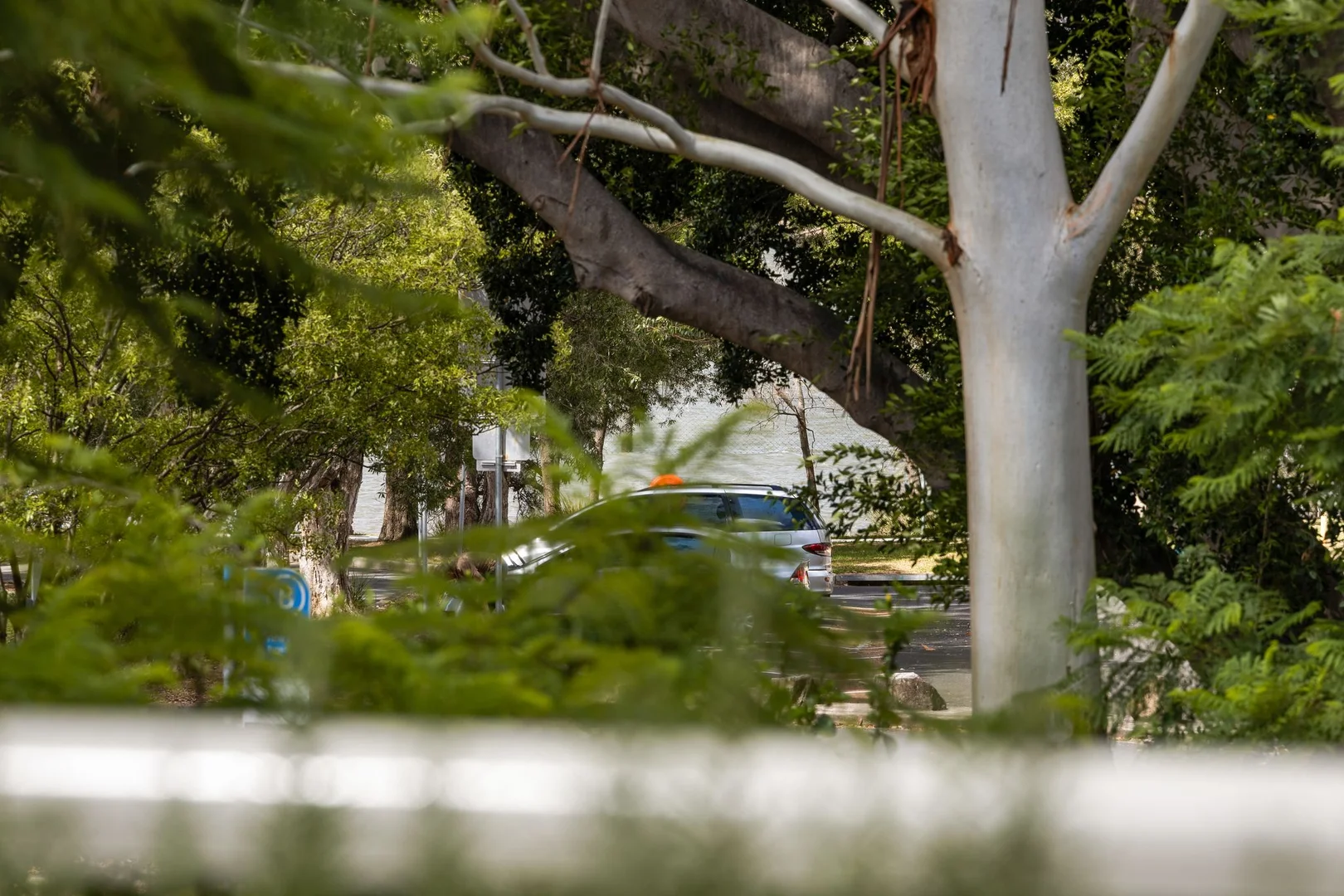 Additional image 17 of 7/247C Burwood Road, Concord NSW 2137