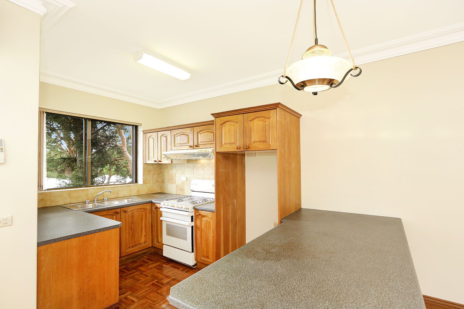 19 Windsor Road, Dulwich Hill NSW 2203, Image 1
