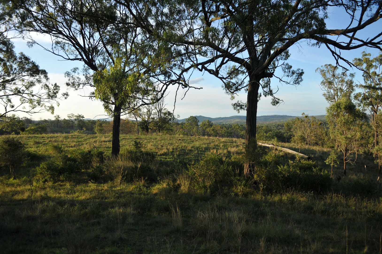 2/125 Back Creek Road, Cooyar QLD 4402 House for Sale 520,000