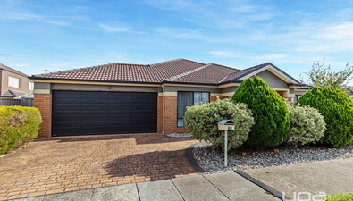 Picture of 44 Oakview Parade, CAROLINE SPRINGS VIC 3023
