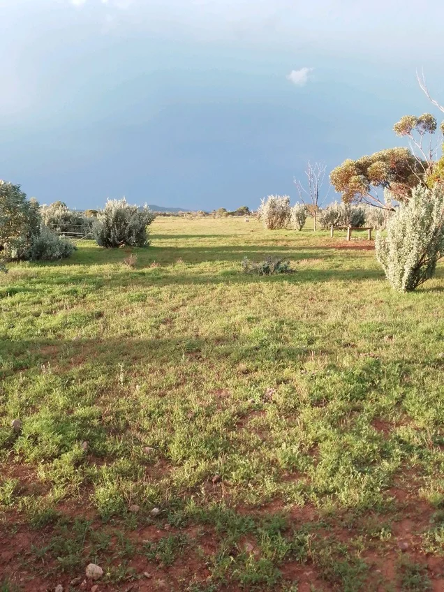 Additional image 38 of 68 Freebairn Road, Quorn SA 5433