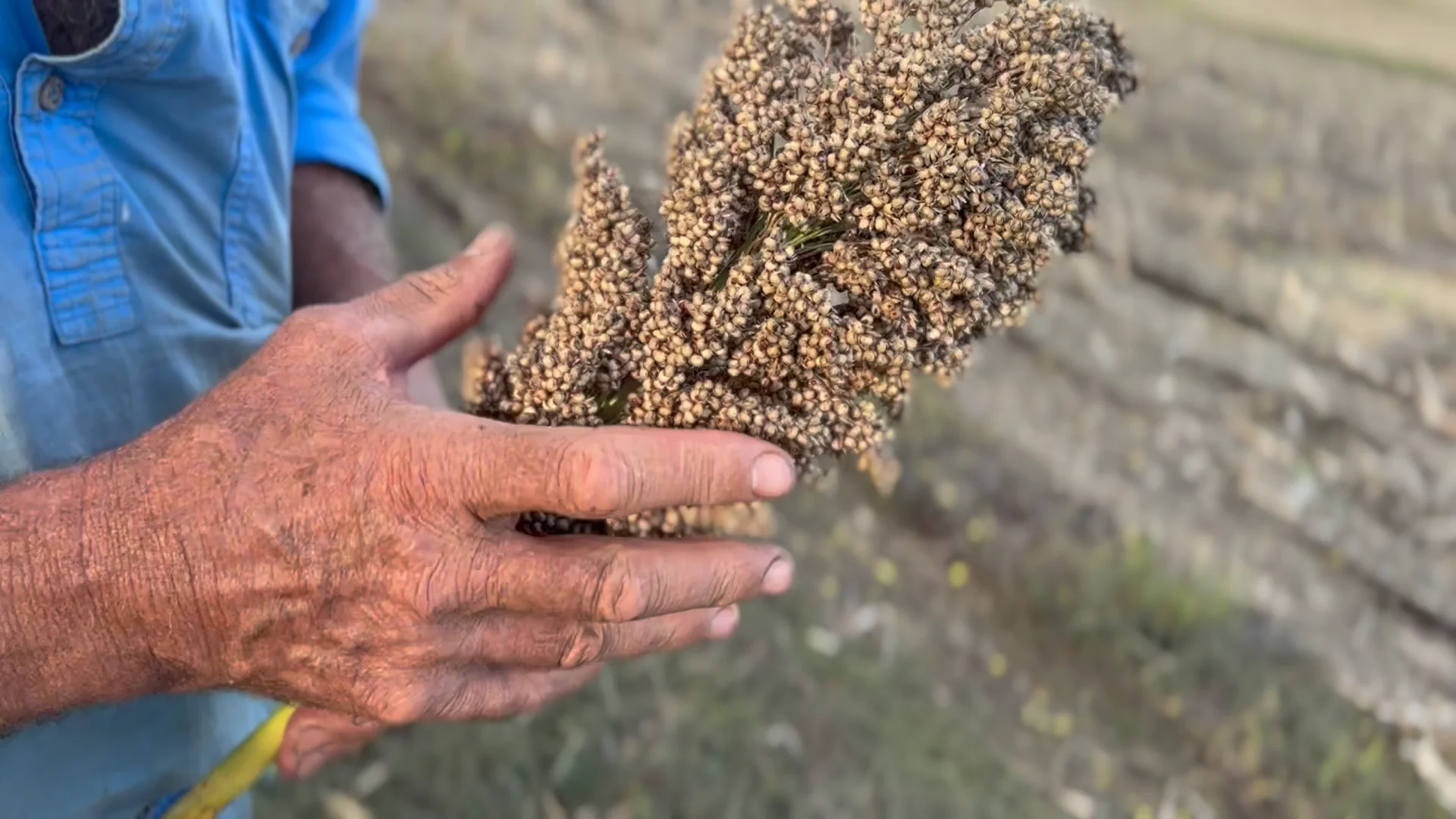 Additional image 18 of "Rivendell" 698 Woodstock Road, Inverell NSW 2360