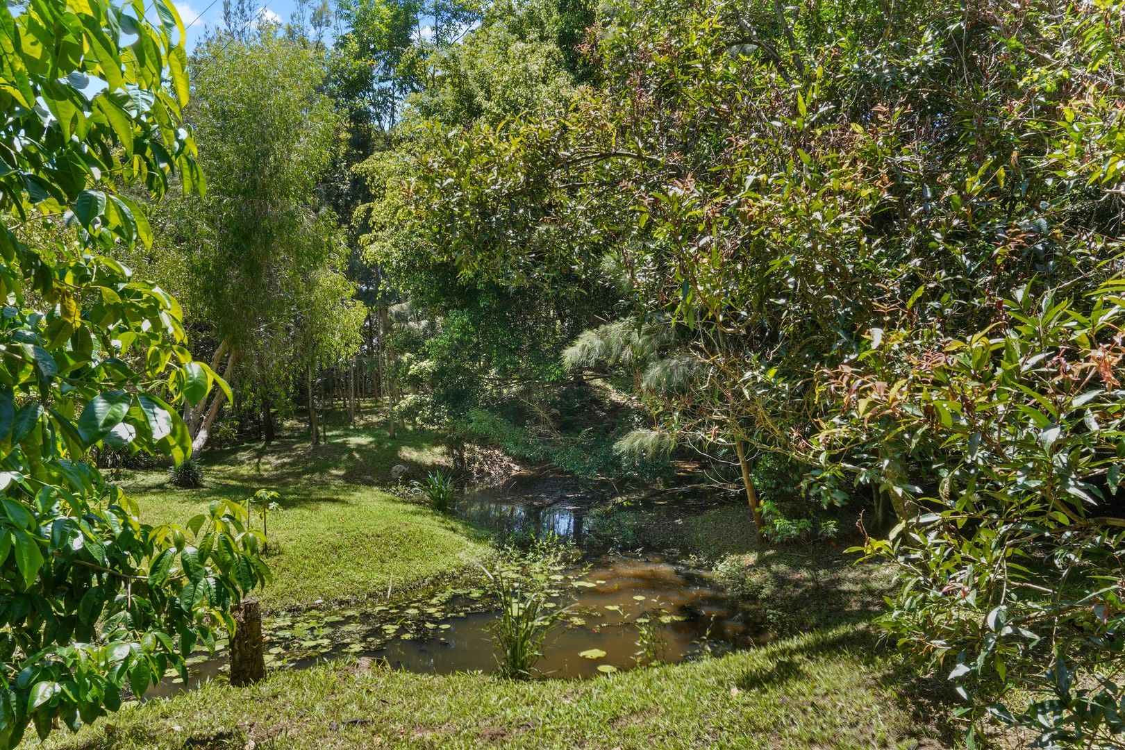 625 Clothiers Creek Road, Clothiers Creek NSW 2484, Image 0