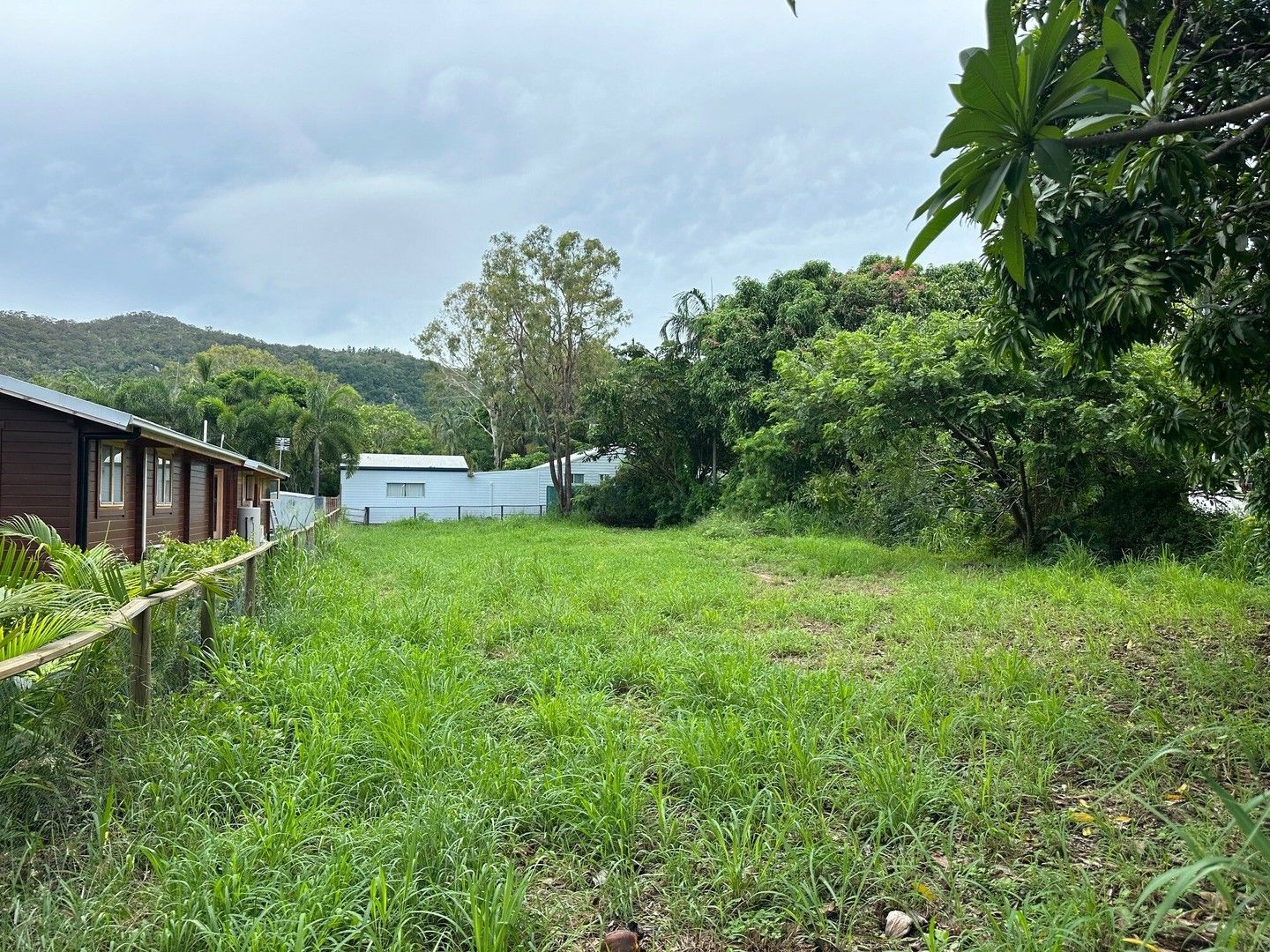 Vacant land in 23 Kelly St, NELLY BAY QLD, 4819