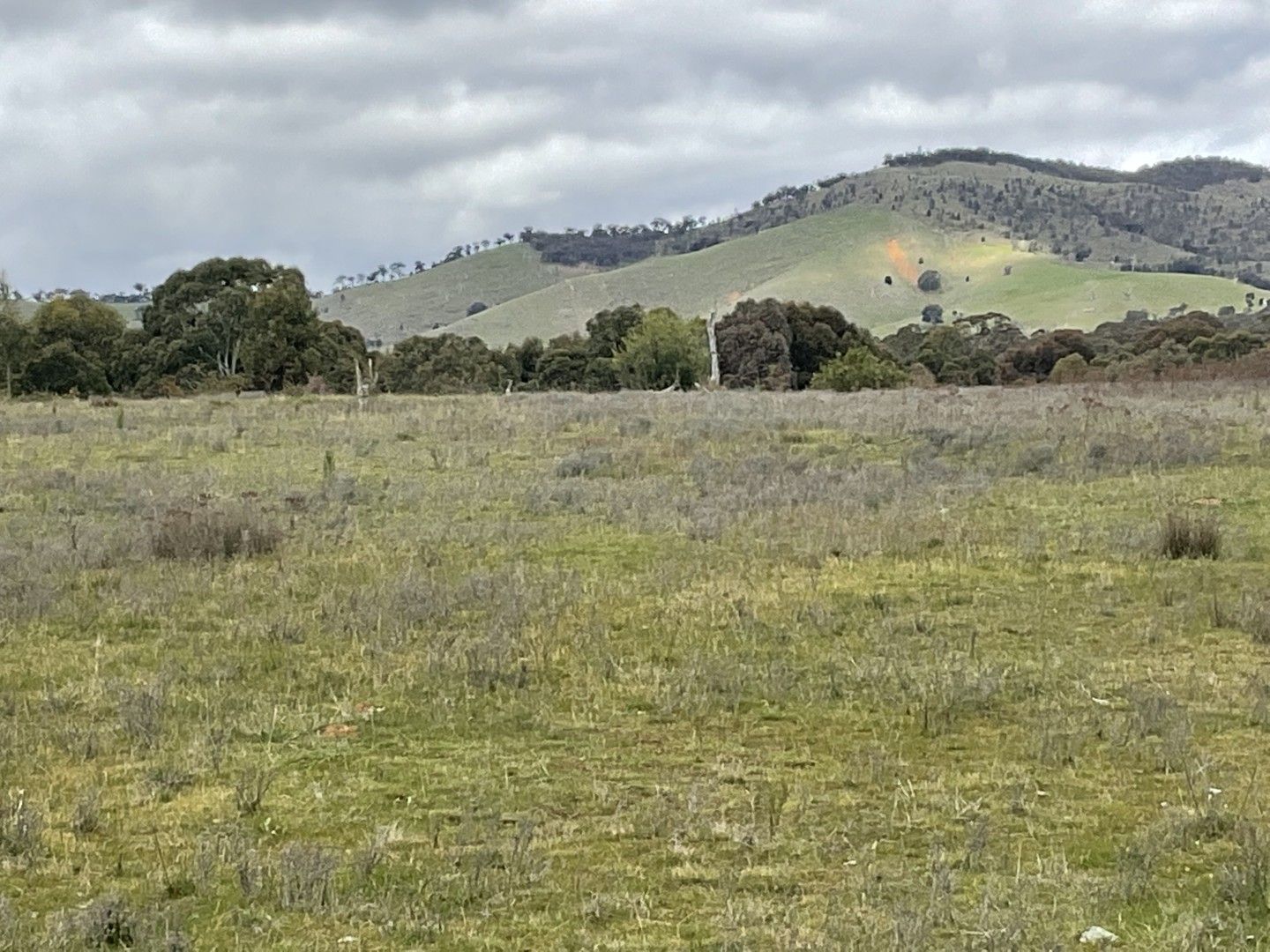 Rural in Redbank-Barkly Road, BARKLY VIC, 3384